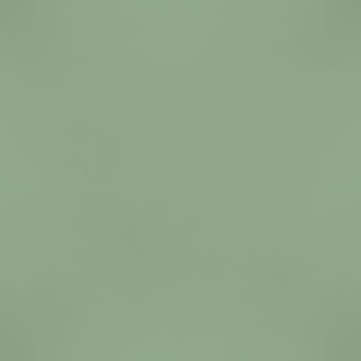 Teinte Vert sauge